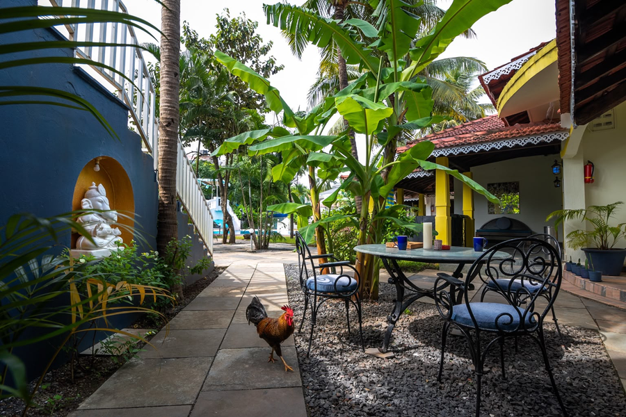 sashas holiday village