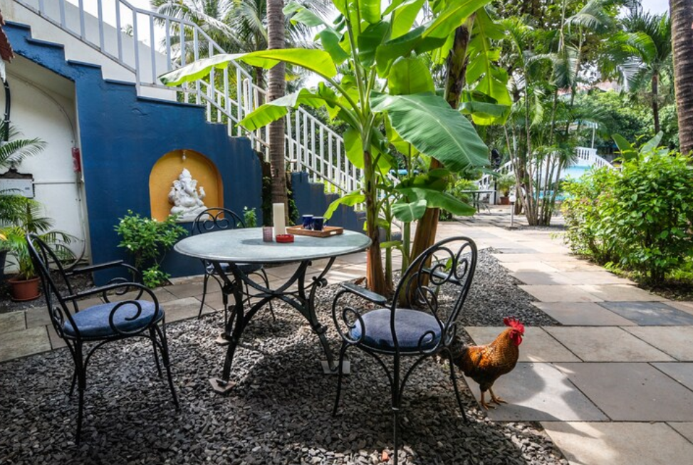 sashas holiday village