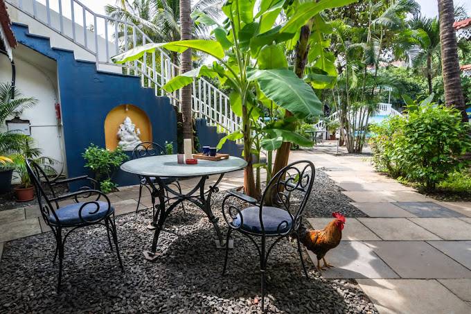 sashas holiday village