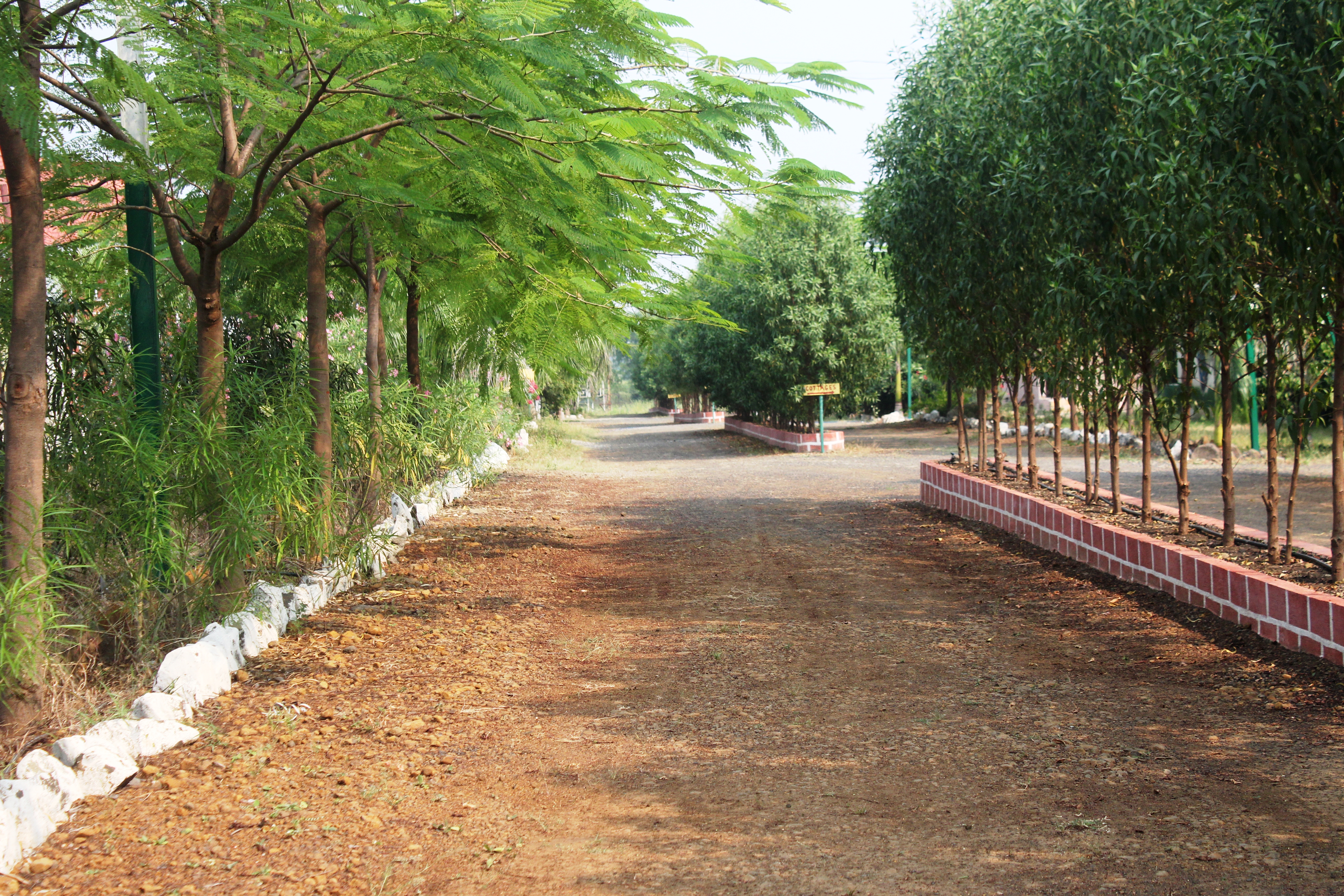 nagpur