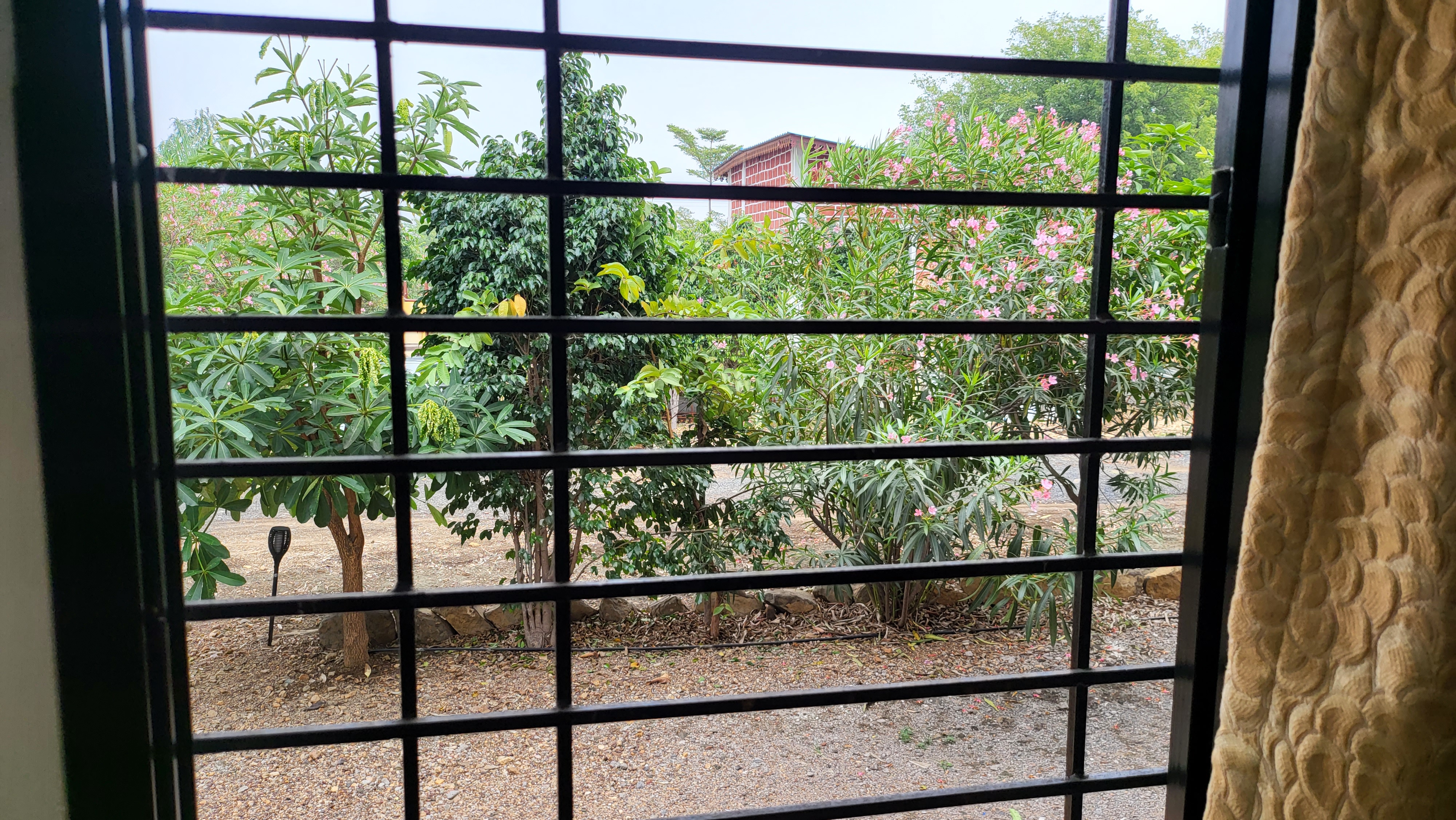nagpur