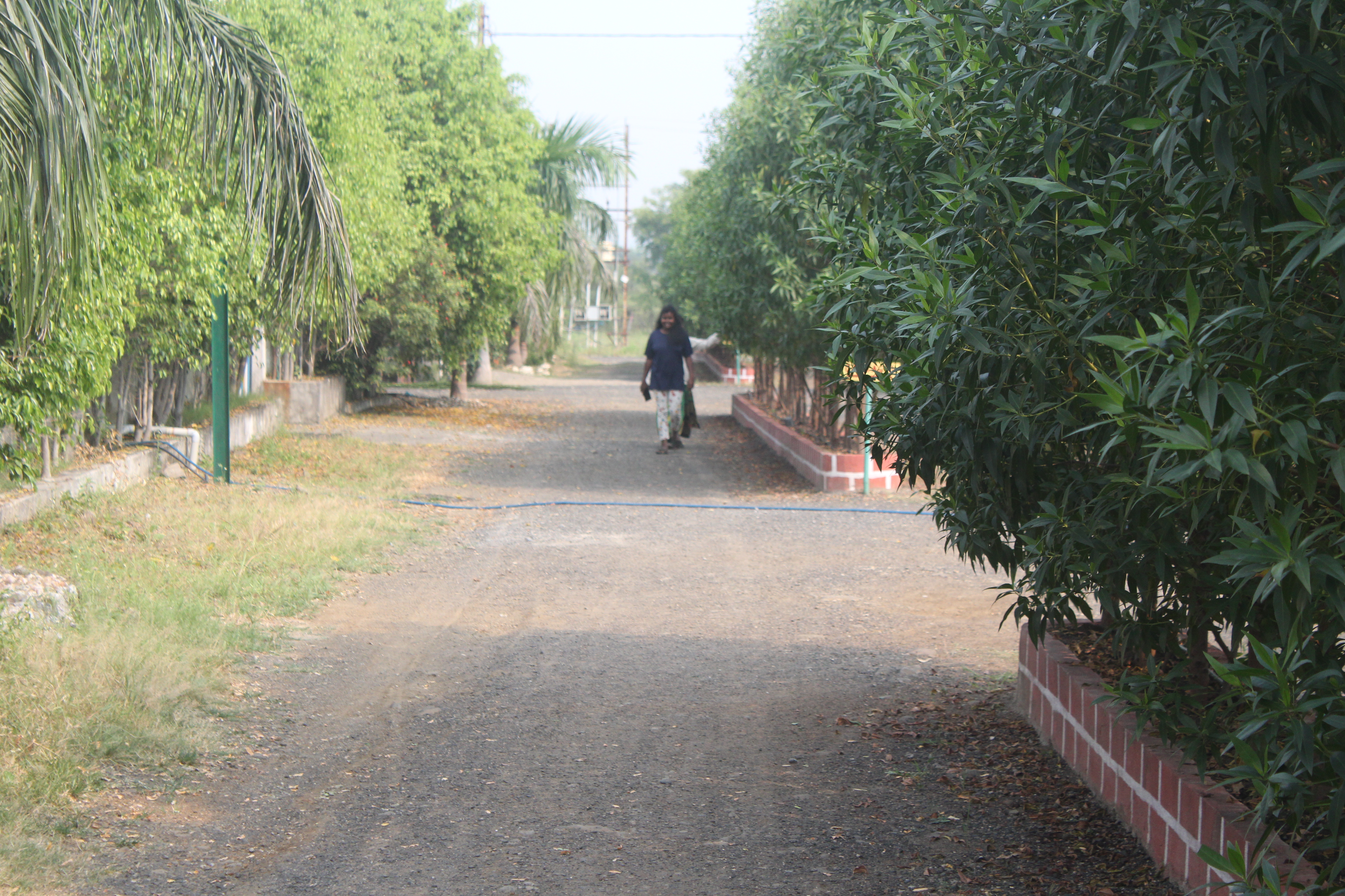 nagpur