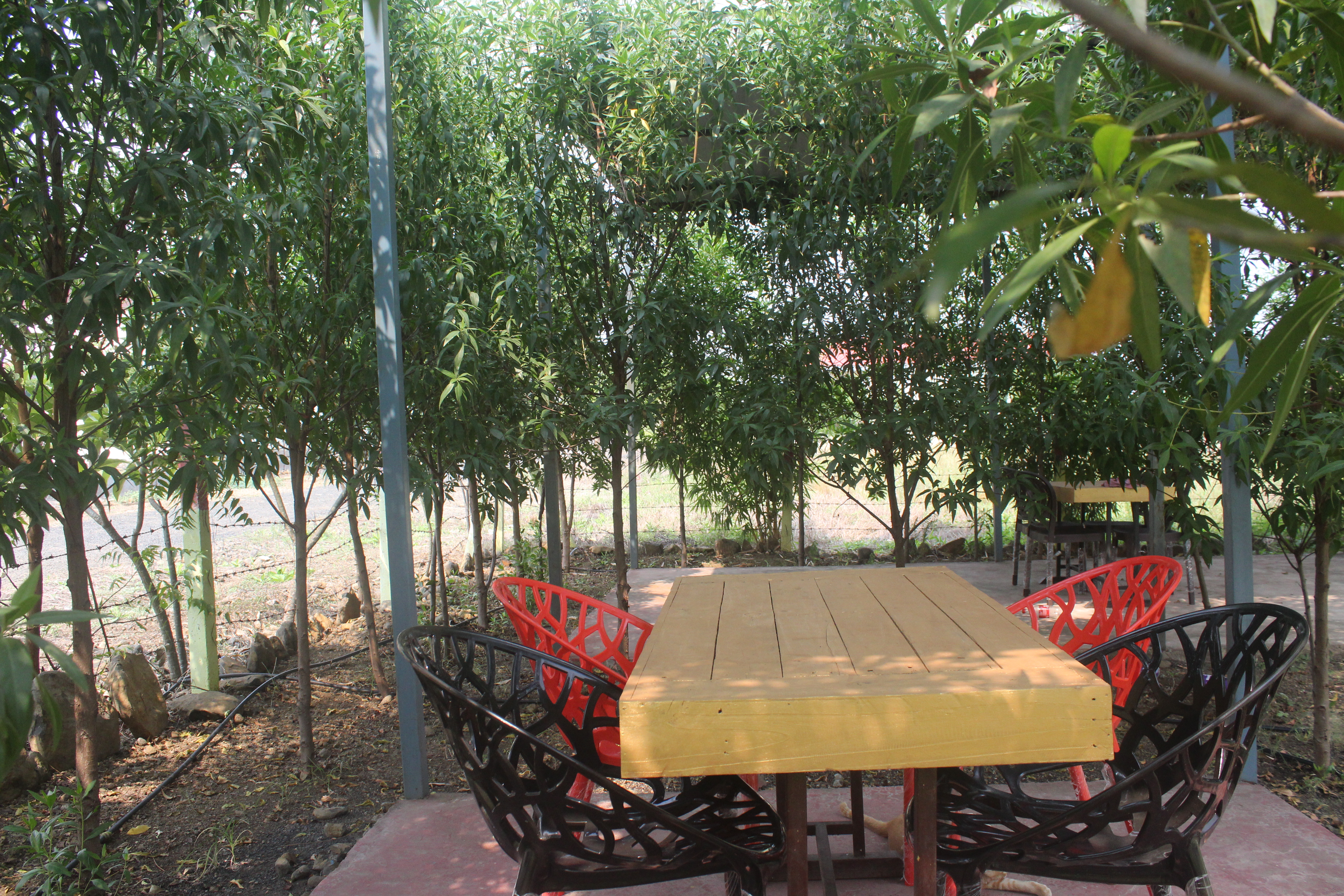 nagpur