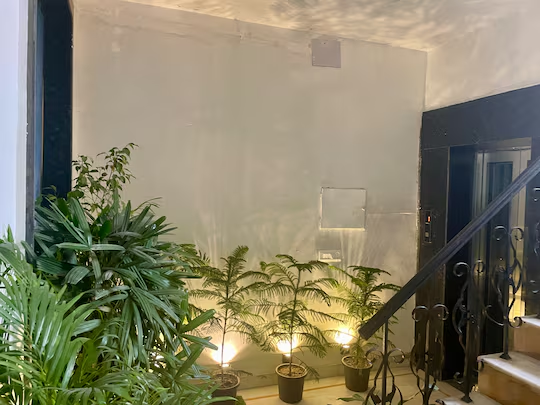 lime boutique bed and breakfast nehru place metro