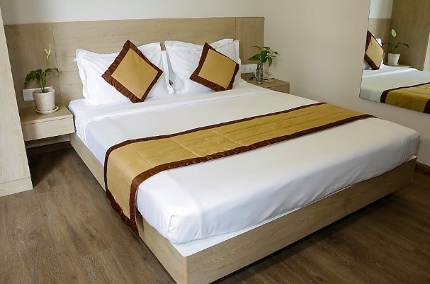 transtree whitefield