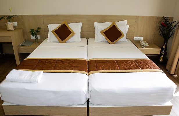 transtree whitefield