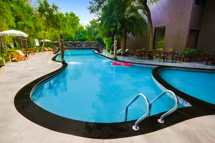 the tree house resort