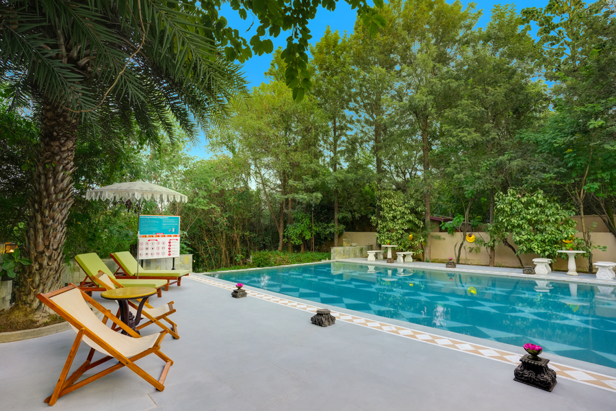 the tree house resort