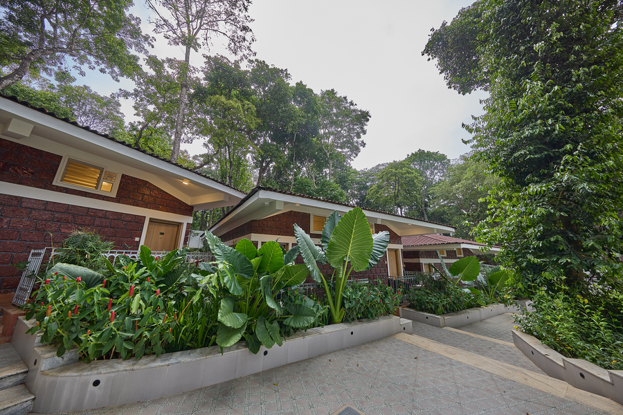 regenta resort sakleshpur