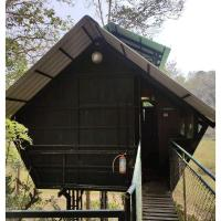 tree house wayanad