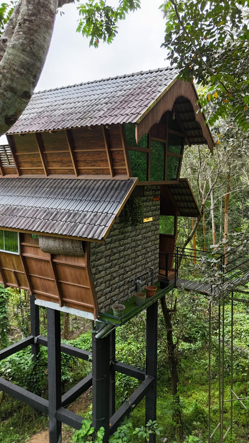 tree house wayanad