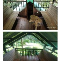 tree house wayanad