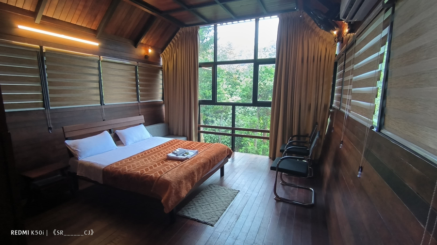 tree house wayanad