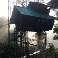 tree house wayanad