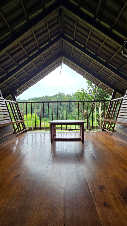 tree house wayanad