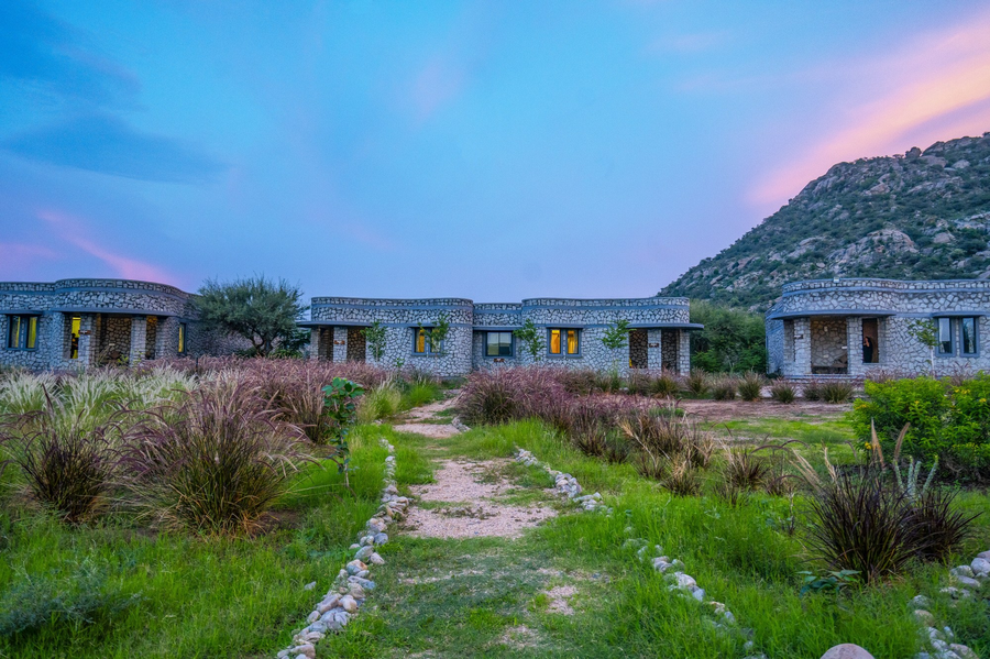 maya luxury j wild resort jawai