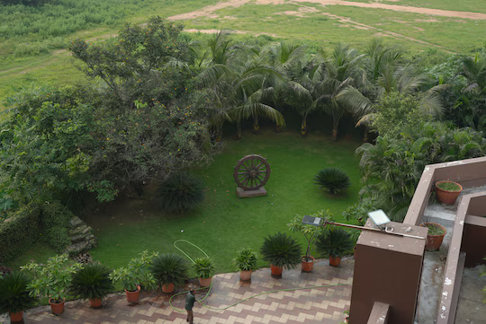 pipul utkal continental