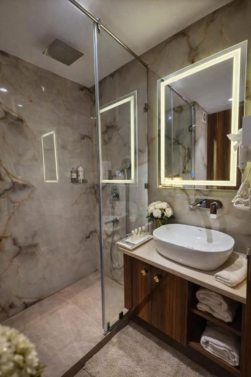 hotel ramhan palace mahipalpur