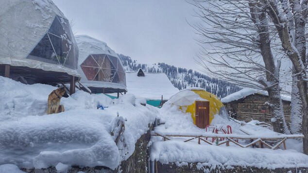 Nirvana Hamta Retreat,Hamta Pass,3 star