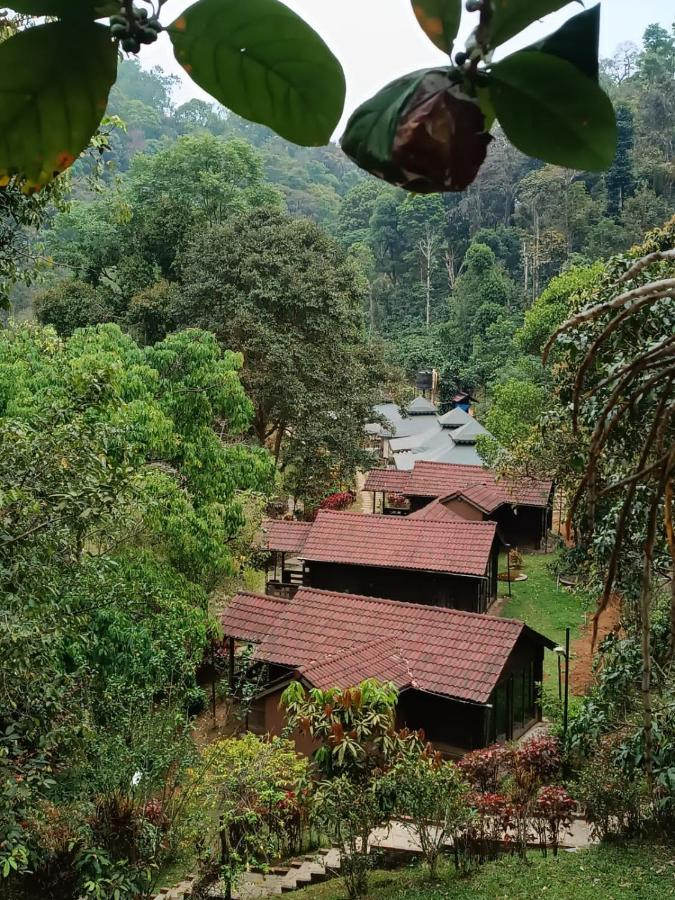 Three Hills Resort Coorg,Bettathur,3 star
