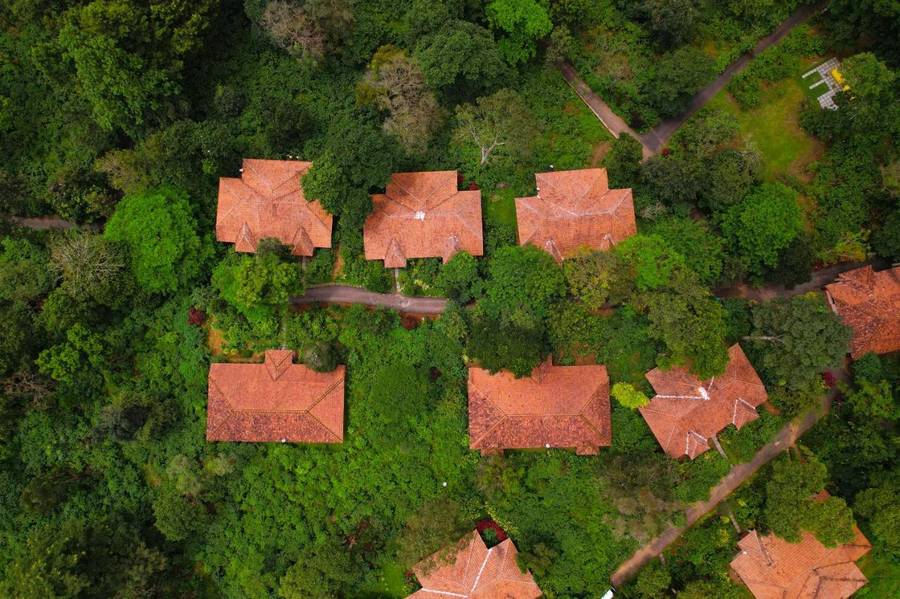 magnolia estates and resort