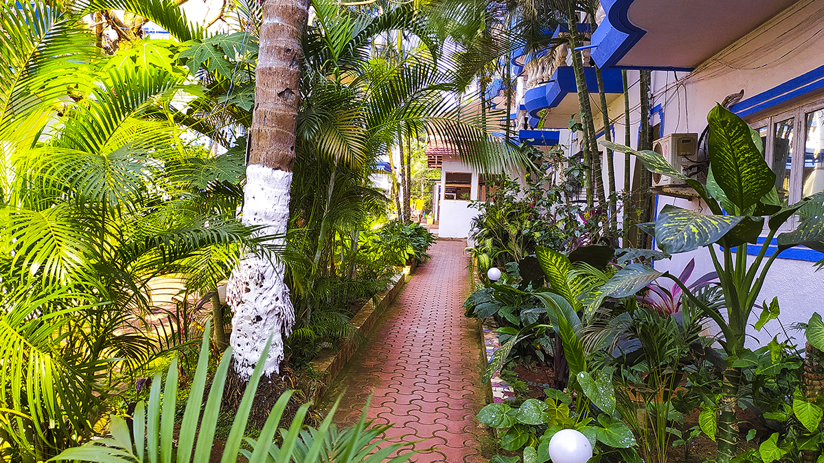 hiline hotels and resorts