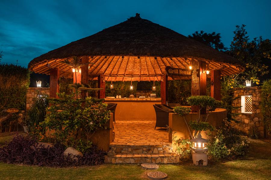 tree of life vanvilas river edge corbett