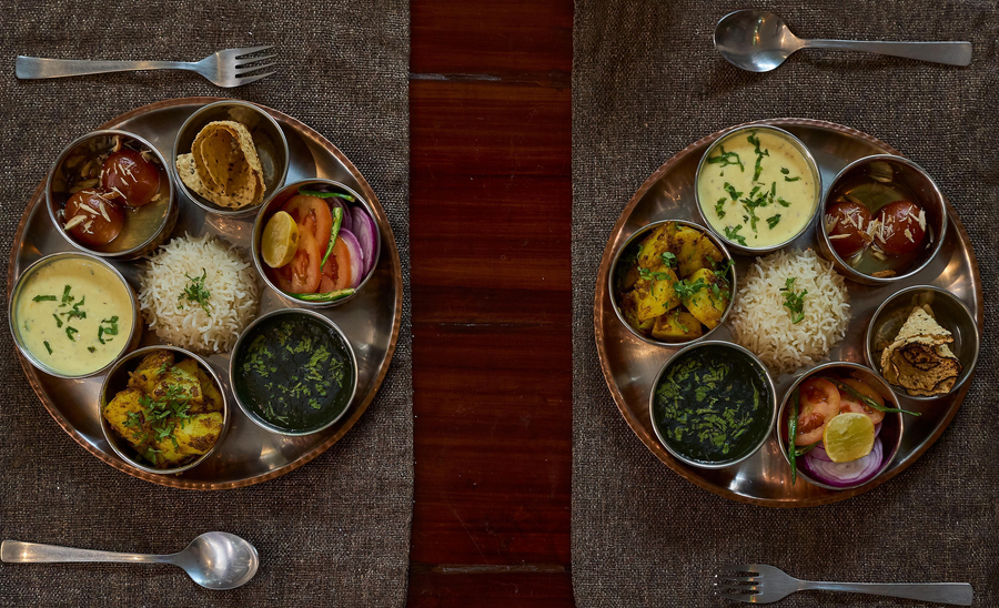 tree of life vanvilas river edge corbett