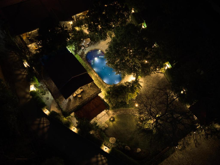 tree of life vanvilas river edge corbett