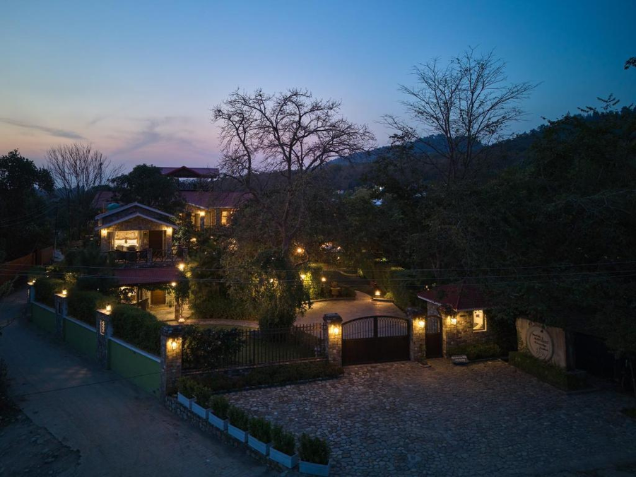 tree of life vanvilas river edge corbett