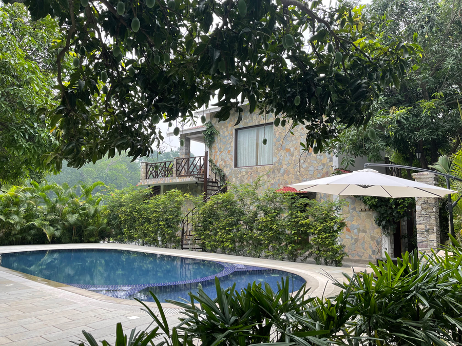 tree of life vanvilas river edge corbett