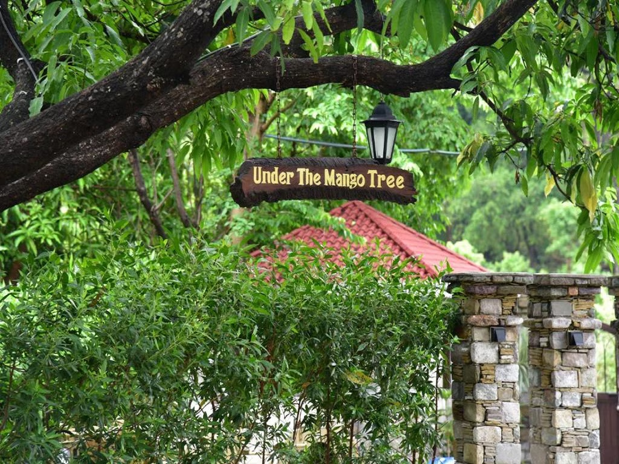 tree of life vanvilas river edge corbett