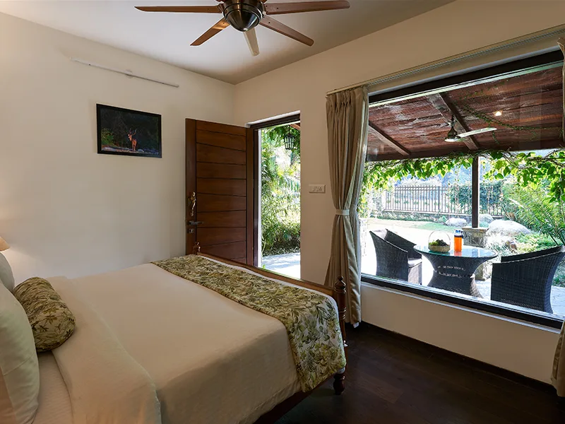 tree of life vanvilas river edge corbett