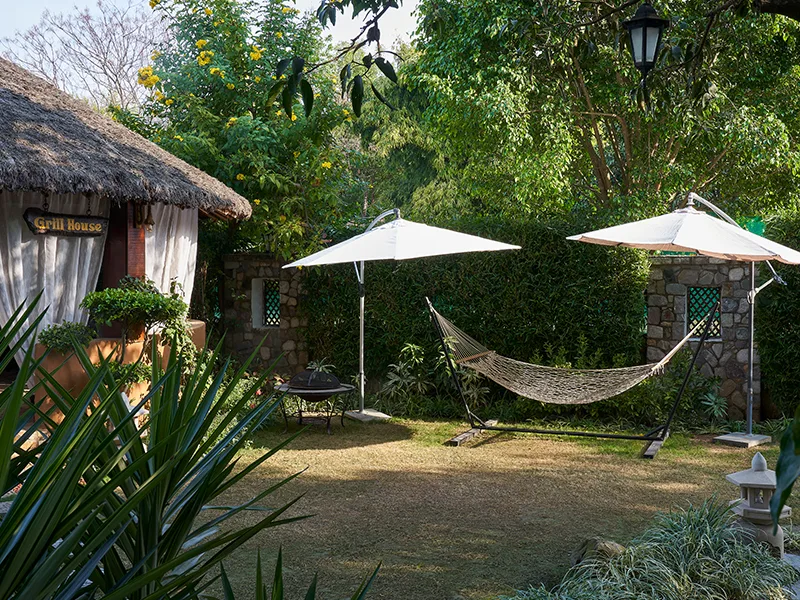 tree of life vanvilas river edge corbett