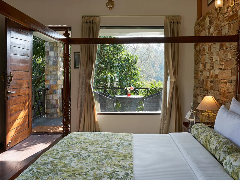 tree of life vanvilas river edge corbett