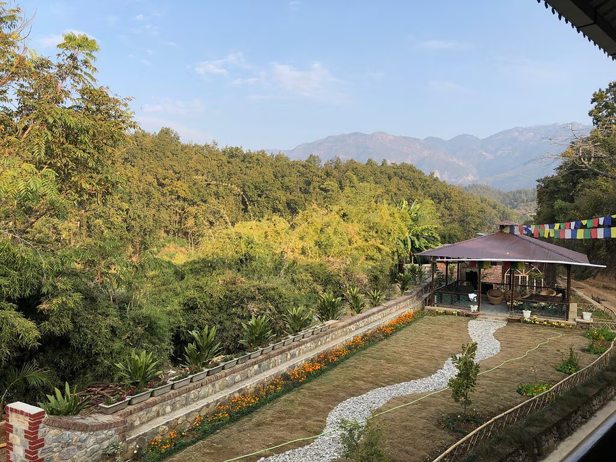 tree of life resort dehradun foothills