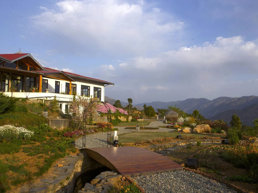 tree of life junoon in the hills kumaon