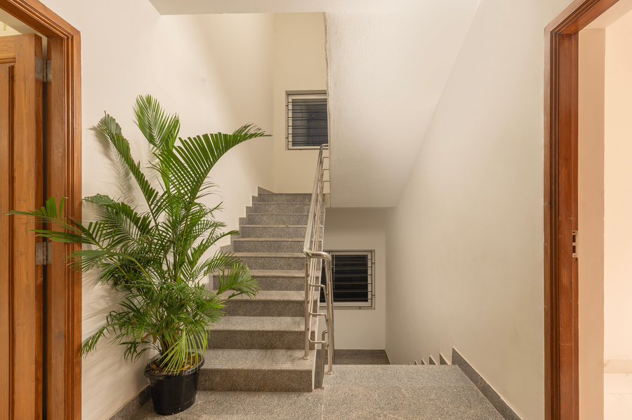 treebo premium vapr ashok nagar
