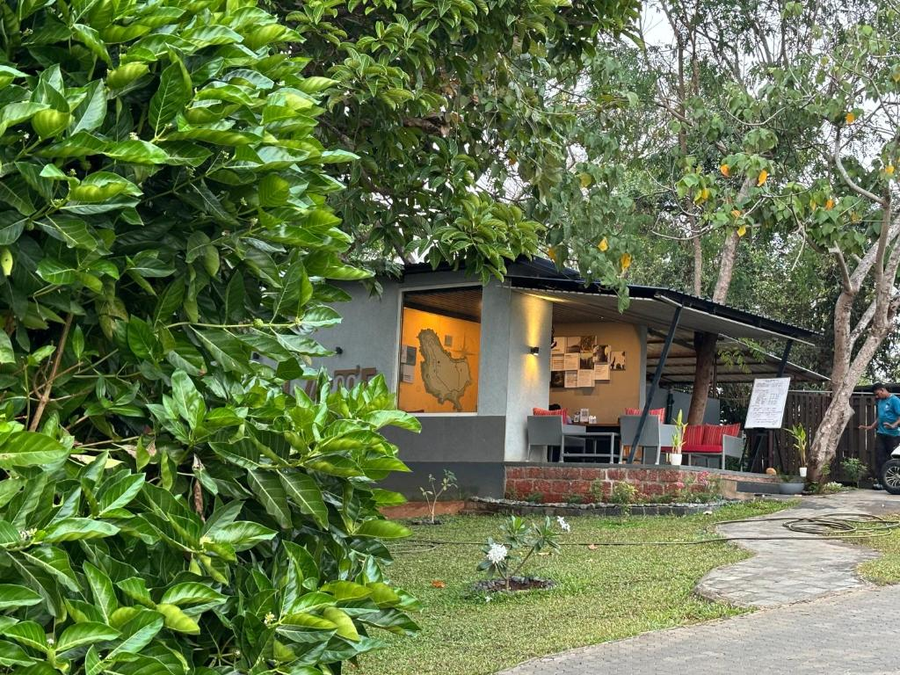 cintacor island resort