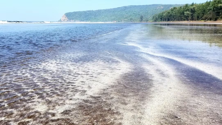 meritas seawind beach resort