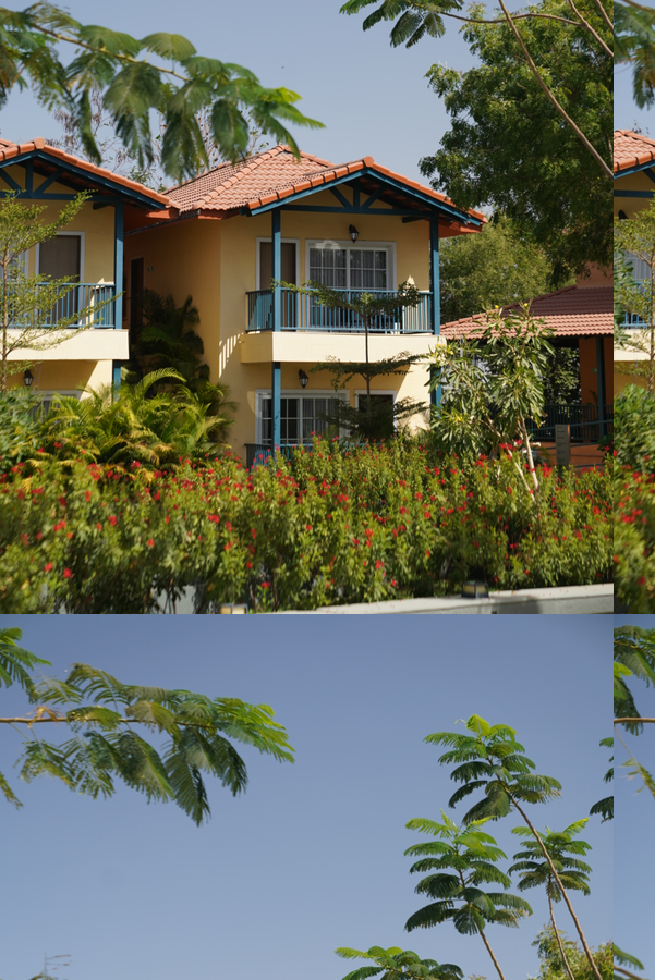 the fern wisteria resort dhari