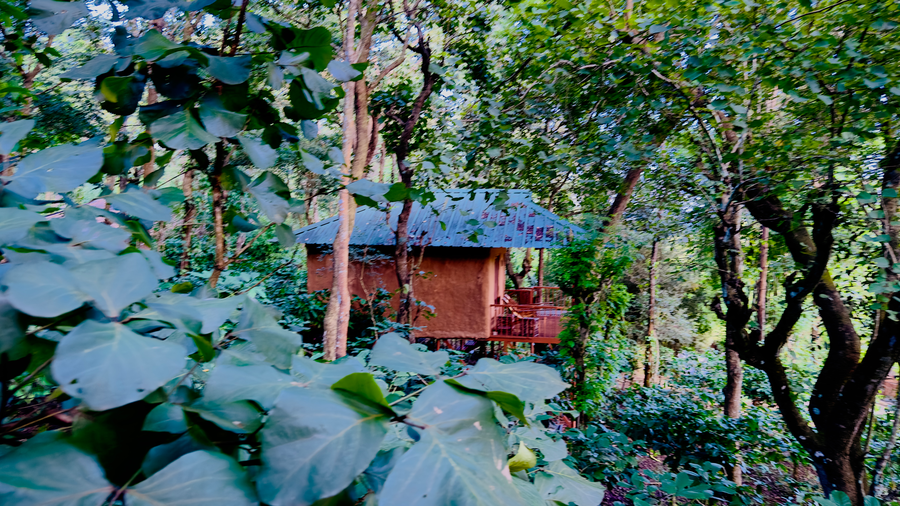 thennal jungle camp