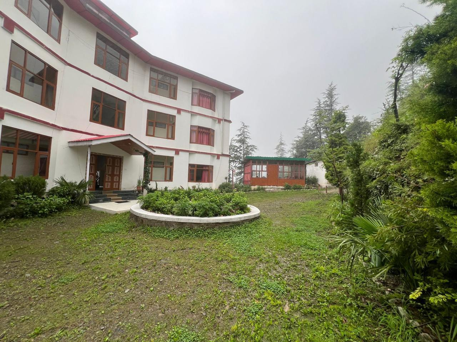 the jungle story by headquarter