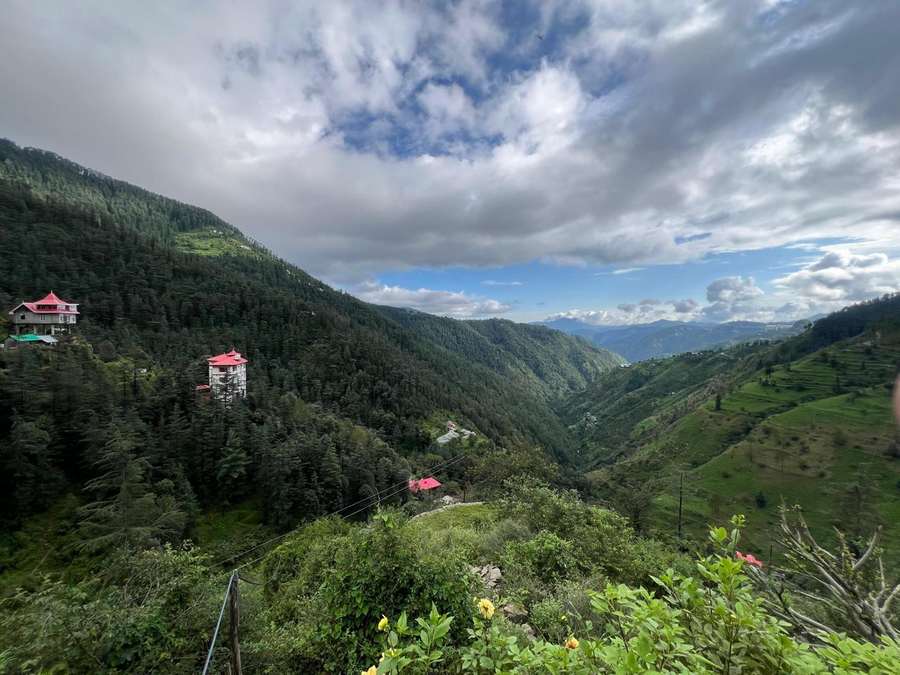 the jungle story by headquarter