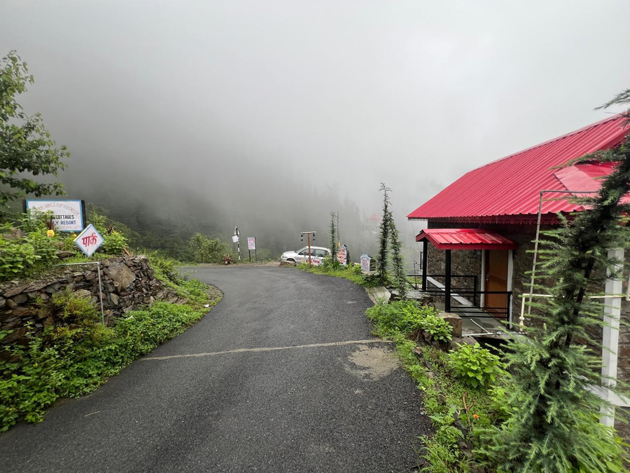 the jungle story by headquarter