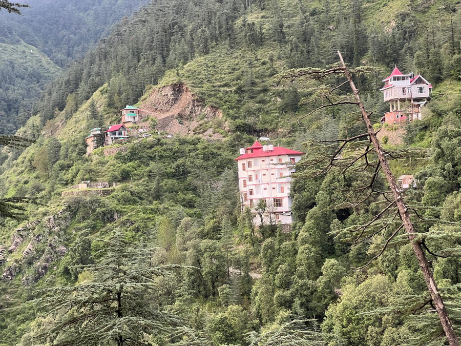 the jungle story by headquarter