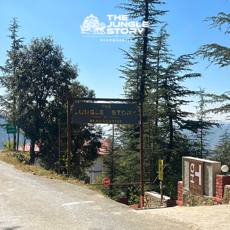 the jungle story by headquarter