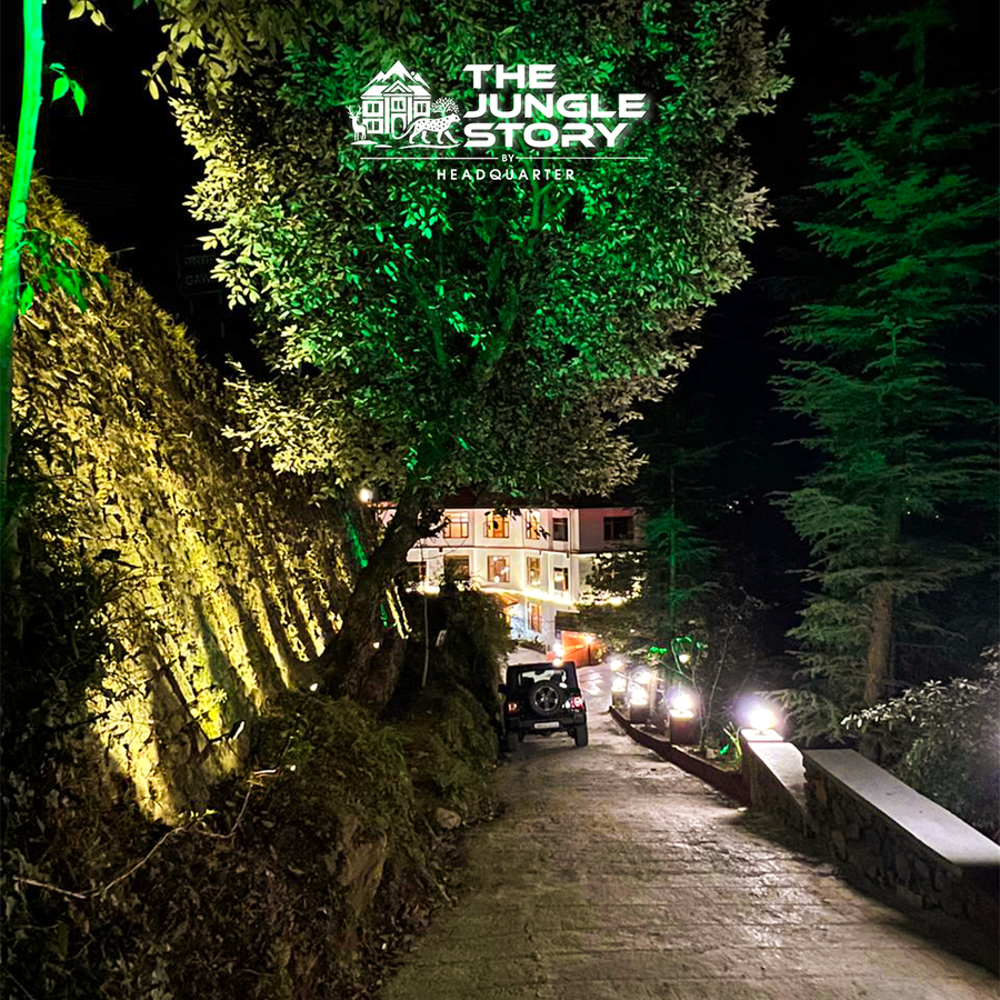 the jungle story by headquarter