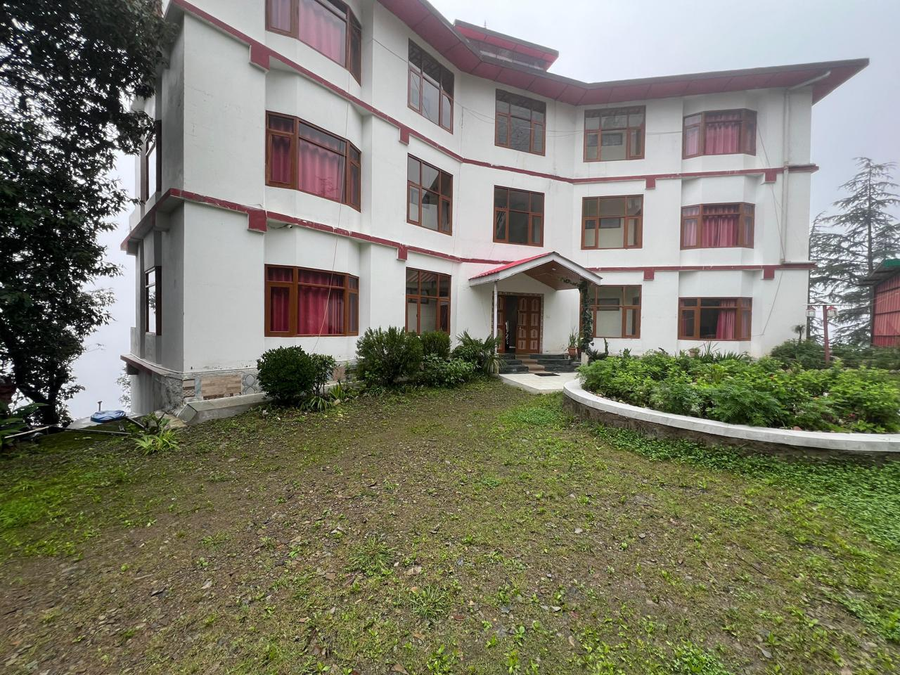 the jungle story by headquarter