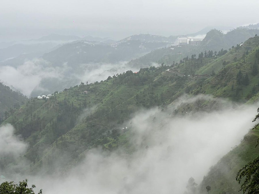 the jungle story by headquarter